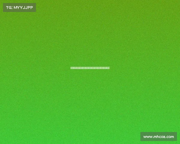 布伦瑞克队在德甲赛季中的崛起与挑战:未来发展前景分析 布伦瑞克队在德甲赛季中的崛起与挑战:未来发展前景分析