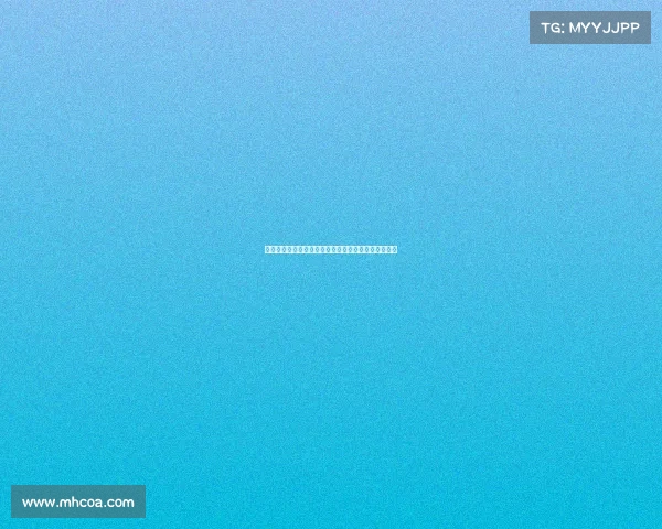 锋无力：从天赋到困境，揭示职业生涯中的选择与挑战